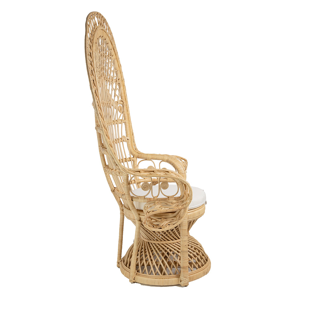 Peacock Boho Chair