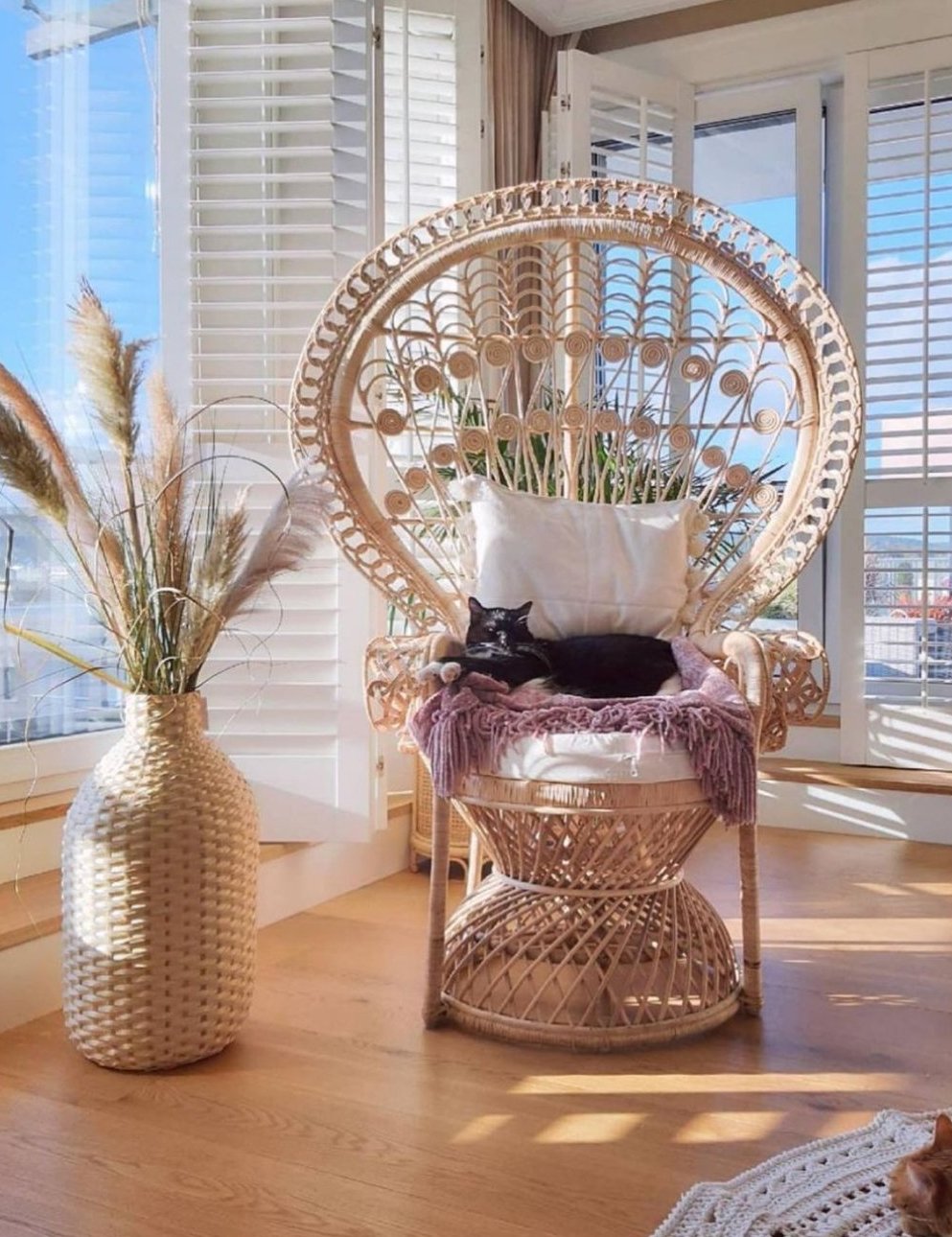 Peacock Boho Chair