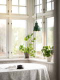 Tullipa Pendant Plug In Lamp Green