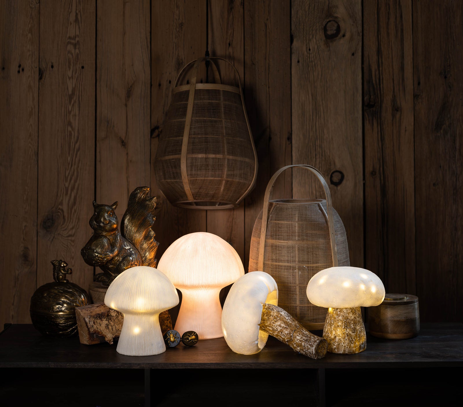 Mushroom Lamp & LED Garland
