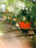 HKliving Retro Flower Pot Cherry Red