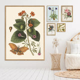A large framed botanical art print featuring green leaves, orange flowers, and a butterfly, styled in a bright bedroom next to a white bed and smaller matching framed prints on the wall.