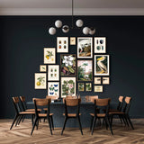 A styled dining room with a dark wall featuring a large gallery wall of framed vintage nature and botanical illustrations, above a dark dining table and wooden chairs.