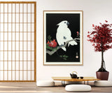 Cockatoo and Pomegranate 50x70 Oak Frame
