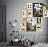 A gallery wall display of framed art prints in a modern room setting, featuring various nature illustrations including insects, flowers, birds, and landscapes, styled with hanging pendant lights and a black-and-white checkered throw blanket.