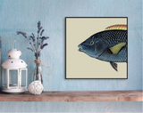 A framed art print of a blue fish with yellow and orange accents, displayed on a light blue wall above a wooden shelf with decorative items including a white lantern, a book, and dried lavender.