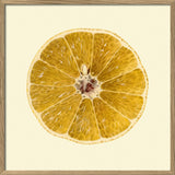 A framed botanical-style print showing a cross-section of a dried yellow citrus slice, centered on a warm cream background with a light wood frame.