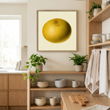 A framed art print featuring a yellow grapefruit on a cream background, displayed on a wall in a modern, sunlit kitchen with wooden shelves and plants.