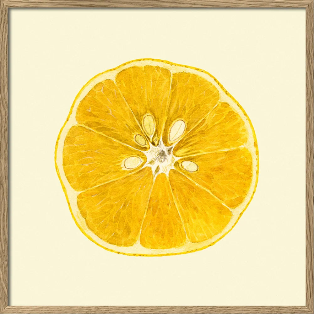 Lemon Open 30x30 Oak Frame