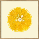 Lemon Open 30x30 Oak Frame