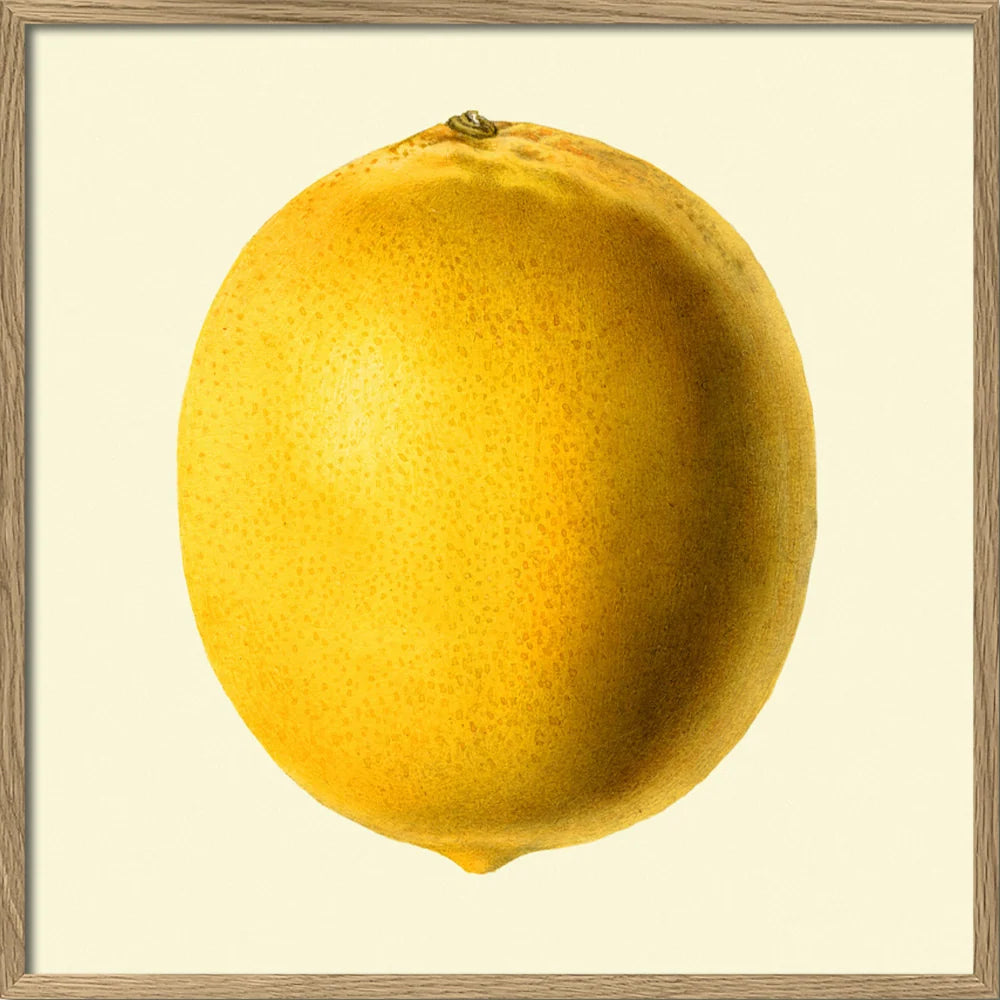 A framed botanical-style illustration of a single yellow lemon on a cream background, surrounded by a light wood frame.