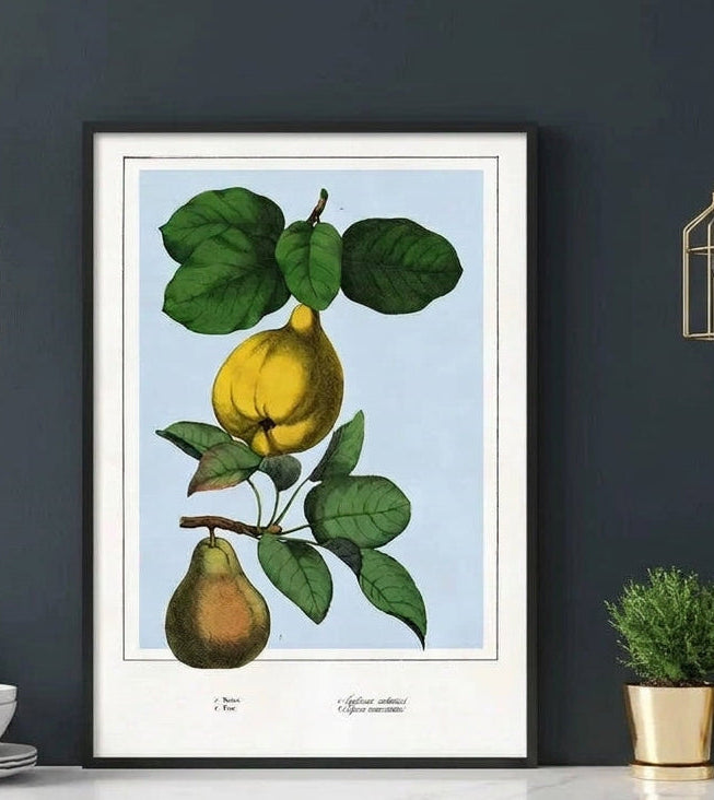 A framed botanical art print of lemons hanging on a white subway tile kitchen wall above a white countertop with navy blue cabinets, gold pendant lights, and small potted plants.