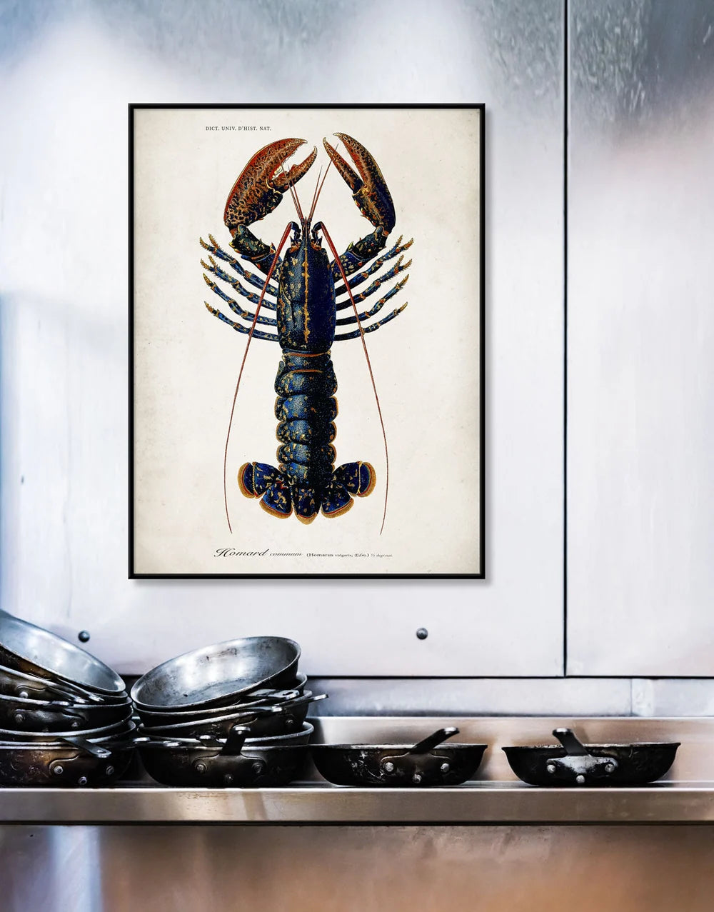 A framed vintage-style lobster illustration print hanging on a white wall above a stainless steel counter with stacked cookware.