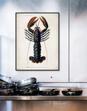 A framed vintage-style lobster illustration print hanging on a white wall above a stainless steel counter with stacked cookware.