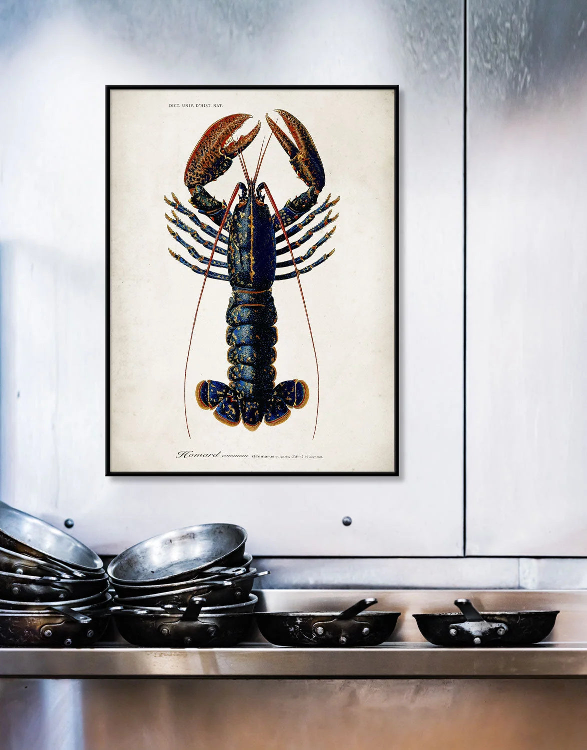 A framed vintage-style lobster illustration print hanging on a white wall above a stainless steel counter with stacked cookware.