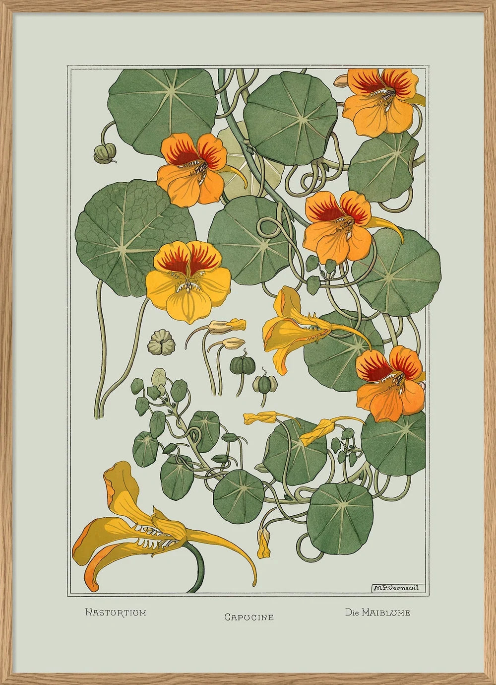 Nasturtium 30x40 Oak Frame