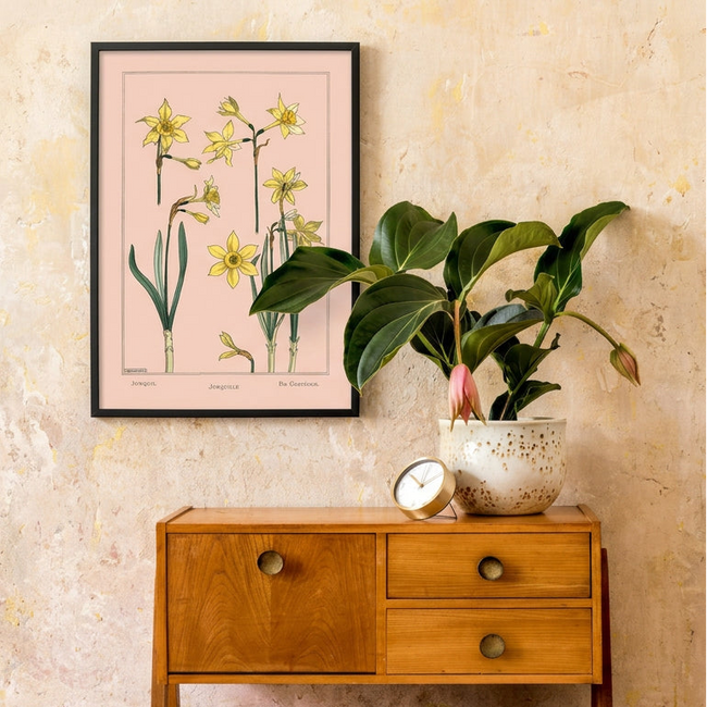A framed botanical art print of yellow daffodils on a pink background, styled on a textured beige wall above a mid-century wooden sideboard with a potted green plant and a small clock.