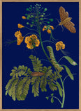 A framed botanical art print featuring yellow flowers, green leaves, a caterpillar, a chrysalis, and a brown moth on a deep navy blue background, enclosed in a light wood frame.