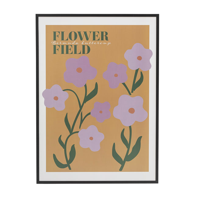 Camelia Illustration with Frame Black Pine