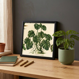 Philodendron Pertusum 15x15 Black Alu Frame