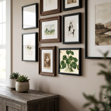 Philodendron Pertusum 15x15 Black Alu Frame