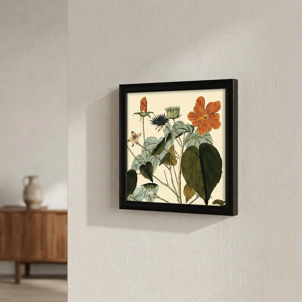 Sida Mauritiana Close Up 15x15 Black Alu Frame
