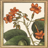 A framed botanical art print featuring orange flowers and green leaves on an off-white background, enclosed in an ornate gold-toned frame.