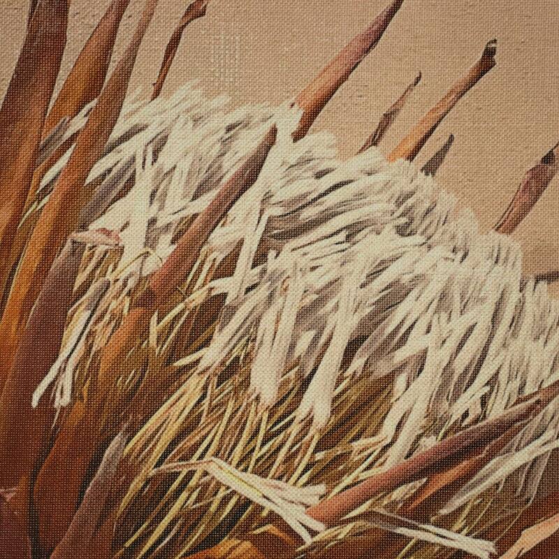 Wall Hanging Dried Flower Beige