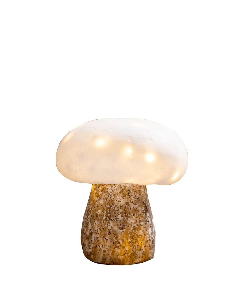 Mushroom Lamp & LED Garland
