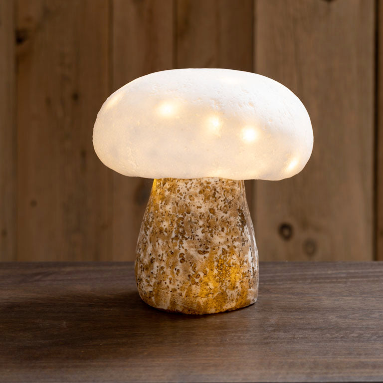 Mushroom Lamp & LED Garland