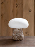 Mushroom Lamp & LED Garland