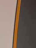 Floor / Wall Brass Frame Mirror Noa