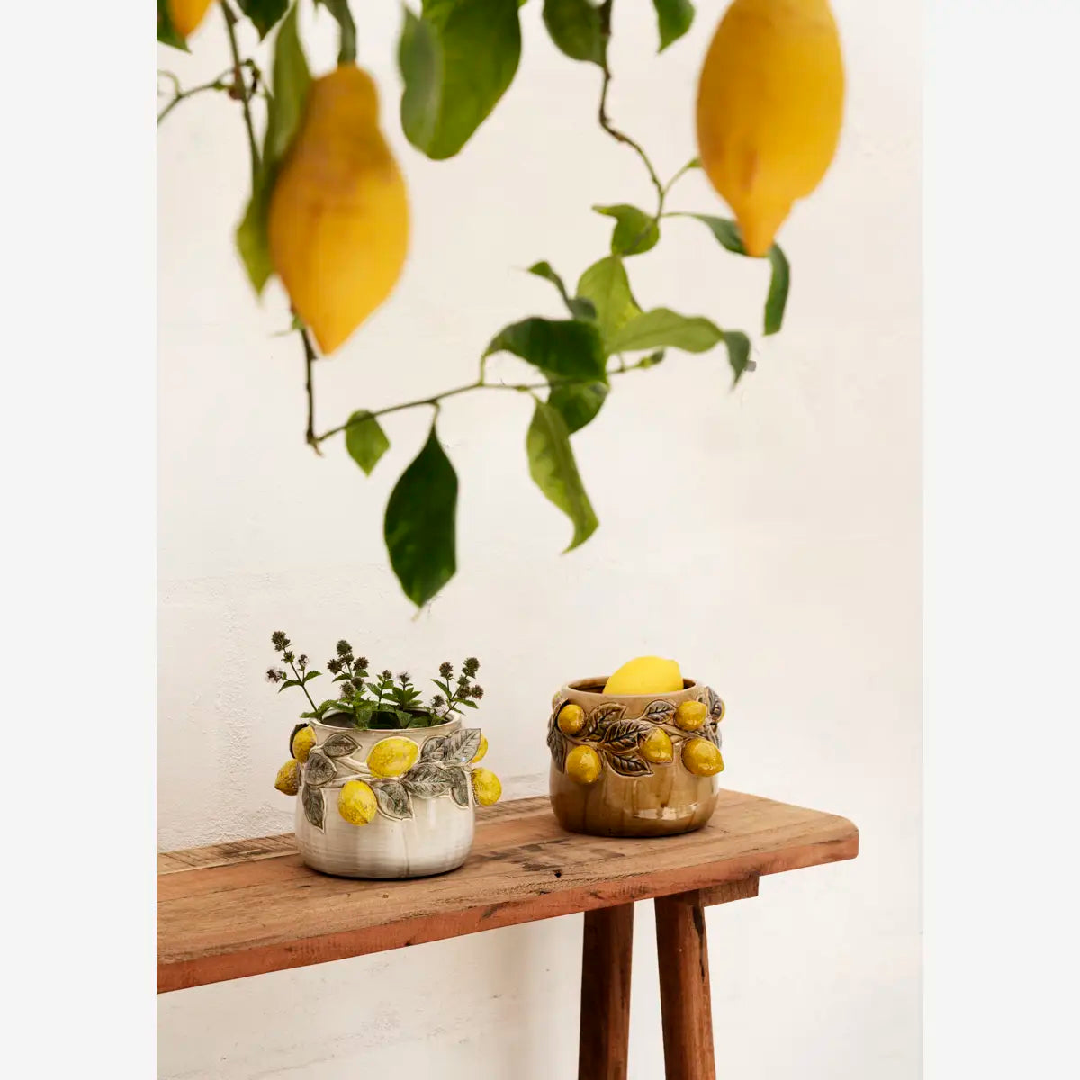 Stoneware Flower Pot Beige