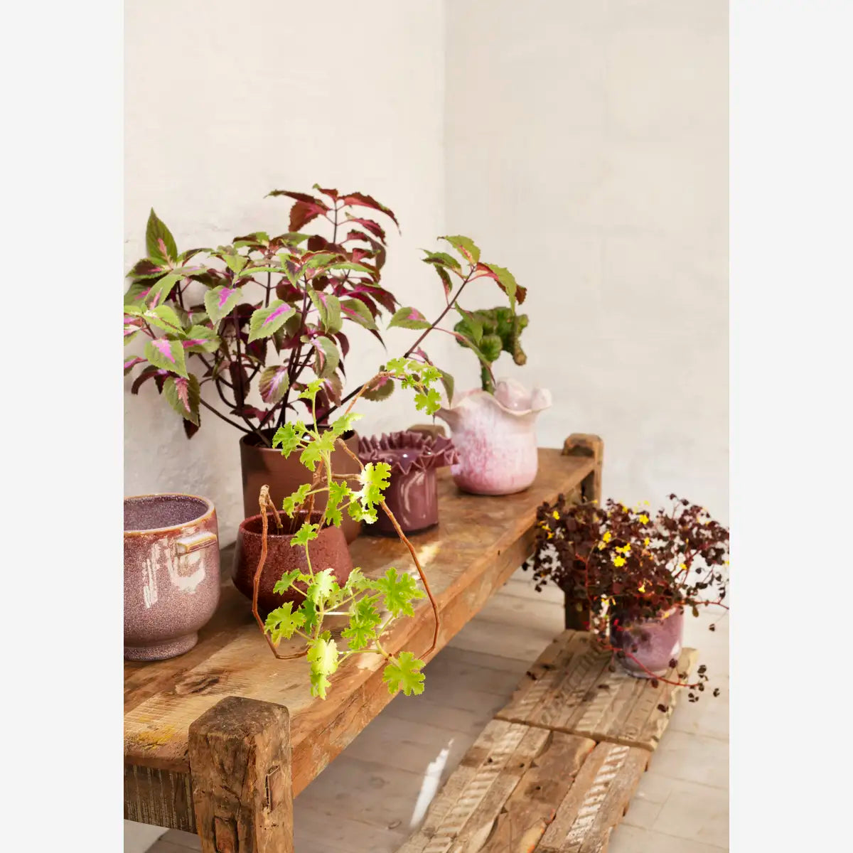 Recycled Wooden Table / Bench Natural 135x40x43cm