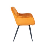 Buttoned Carver Dining Chair Orange Velvet