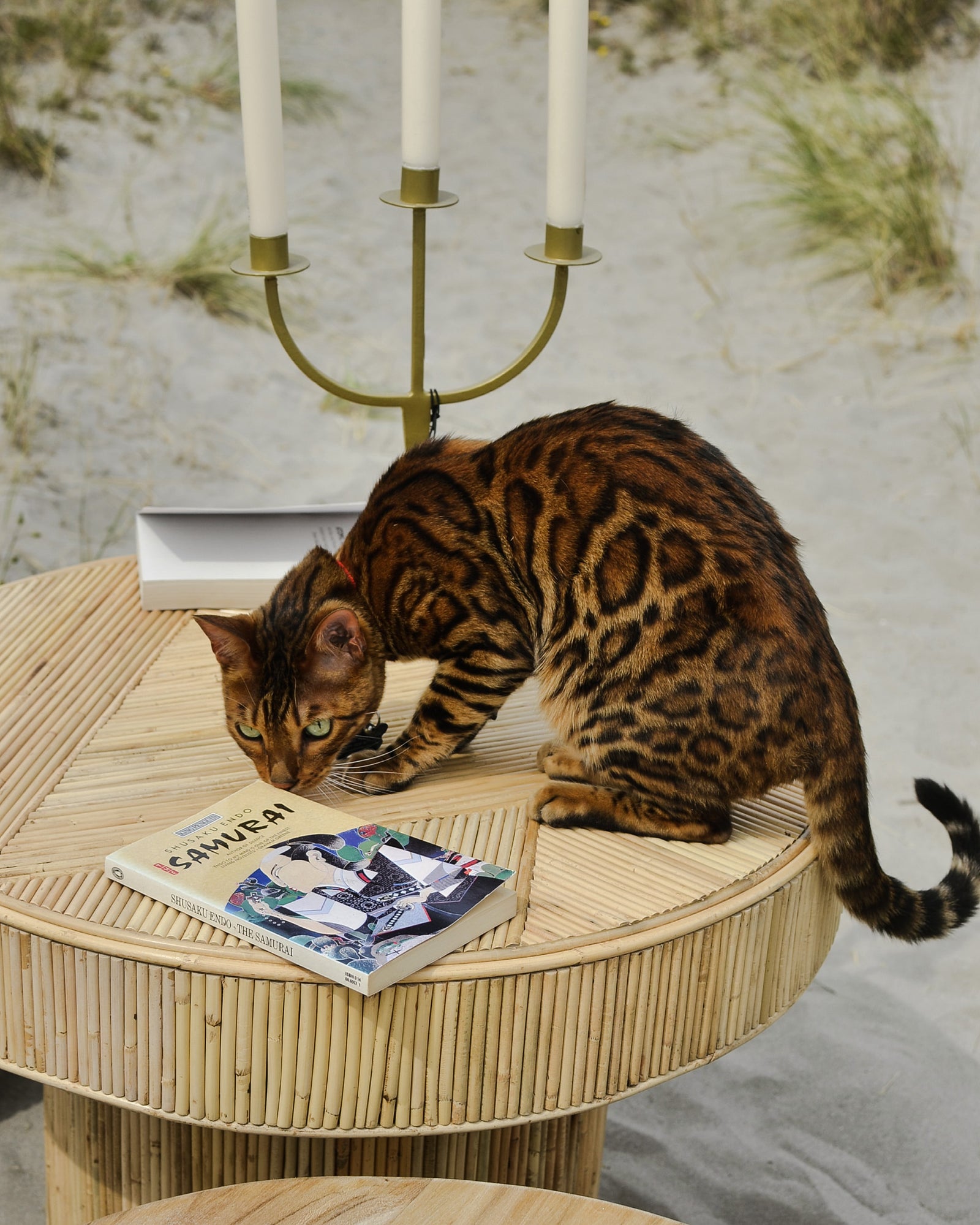 Boho Soul Coastal Side Table