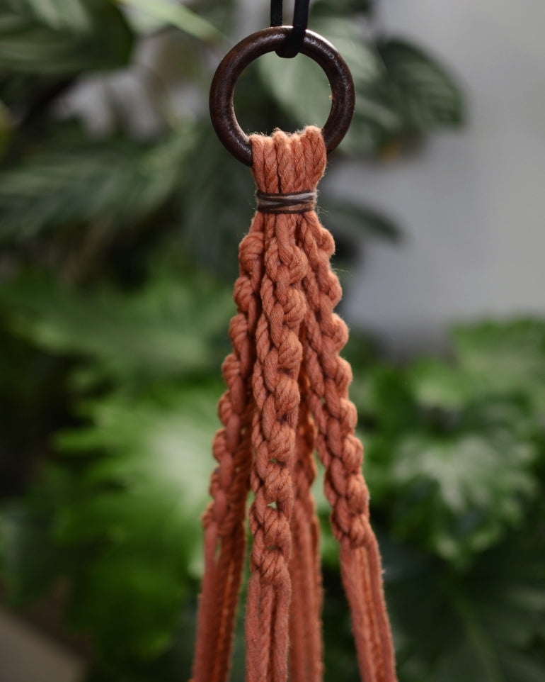 Terracotta Falls Plant Hanger