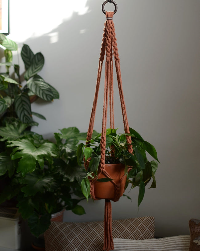 Terracotta Falls Plant Hanger