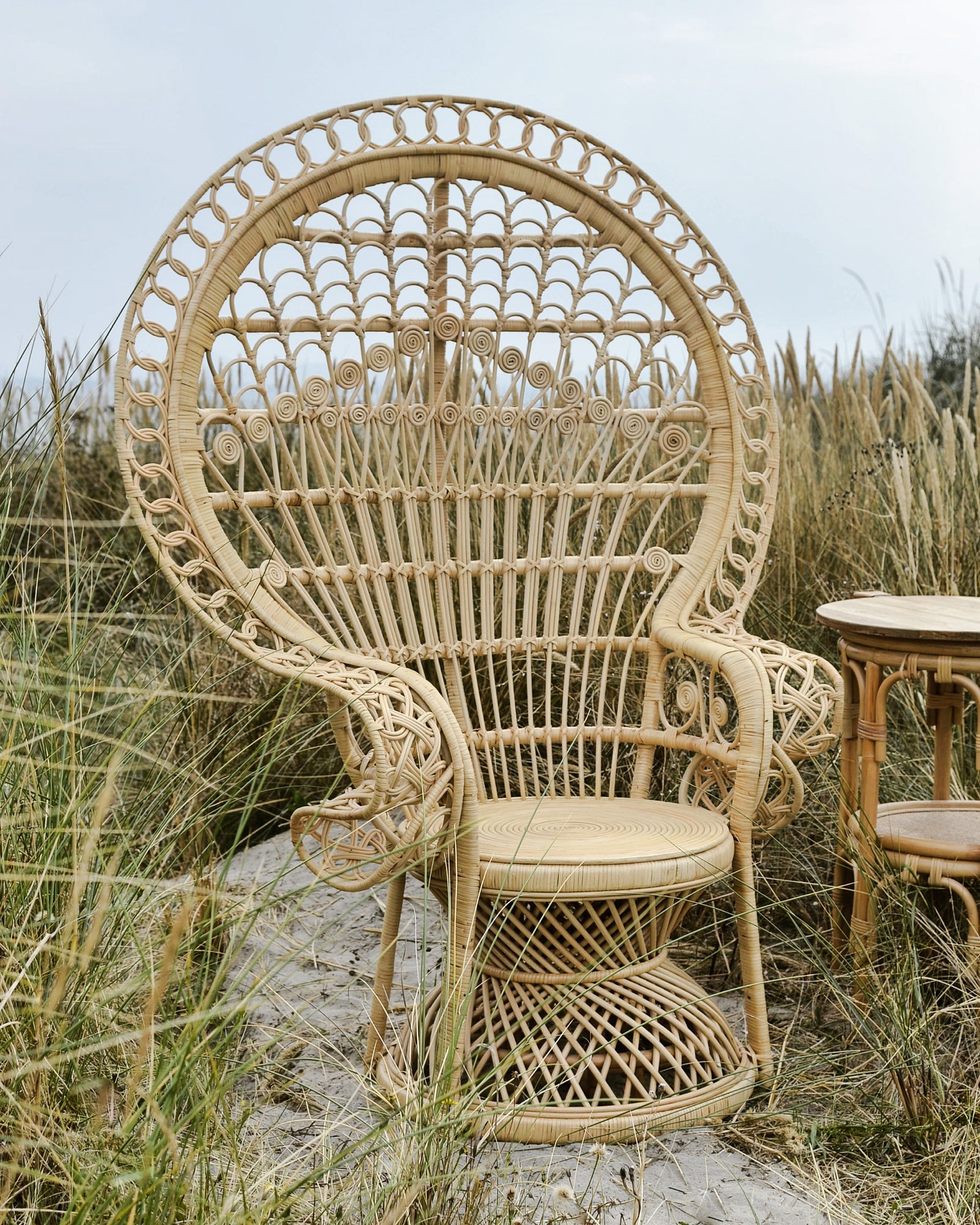 Peacock Boho Chair