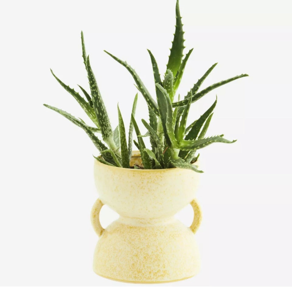 Stoneware Flower Pot
 Madam Stoltz
