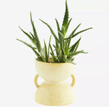 Stoneware Flower Pot
 Madam Stoltz
