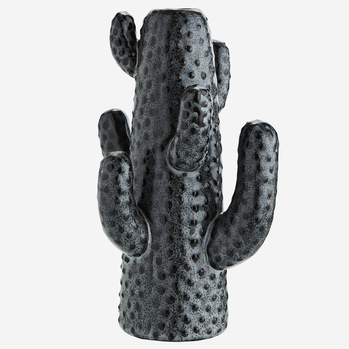 Cactus Vase Dark Grey, Black -
Madam Stoltz