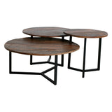 Reclaimed Wood Coffee Table set/3